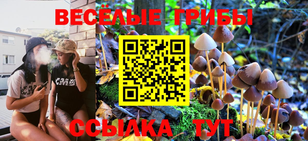 Псилоцибиновые грибы Cubensis Россия