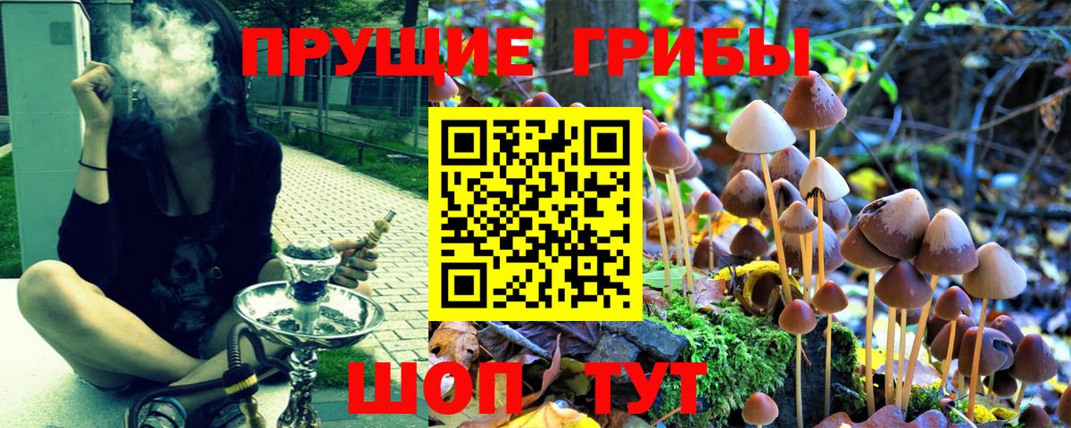 Россия  что такое   Вход с VPN  Псилоцибиновые грибы прущие грибы 